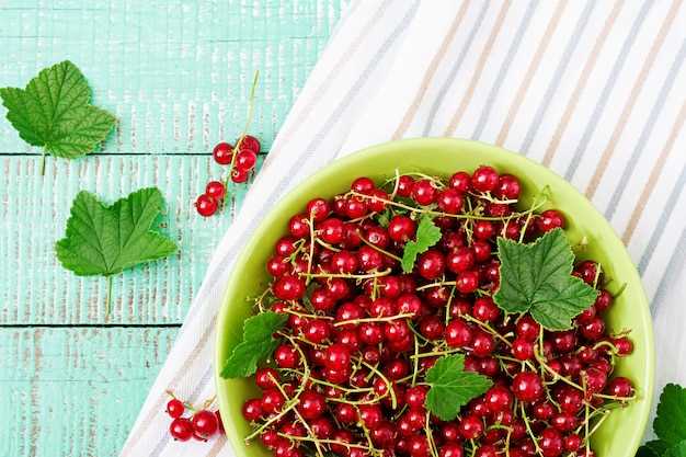 Лечебные свойства брусники: все о пользе ягоды для здоровья